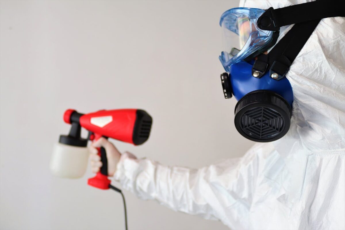 How to Identify, Prevent, and Remove Mold at Home – Opportunity Desk