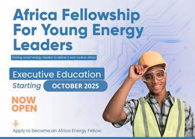 Africa Fellowship for Young Energy Leaders 2025 – Opportunity Desk