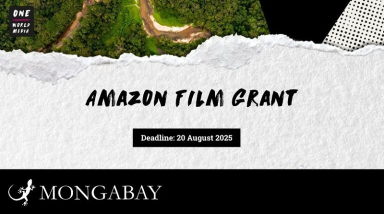 Mongabay/One World Media Amazon Film Grant 2025 (up to $5,000)