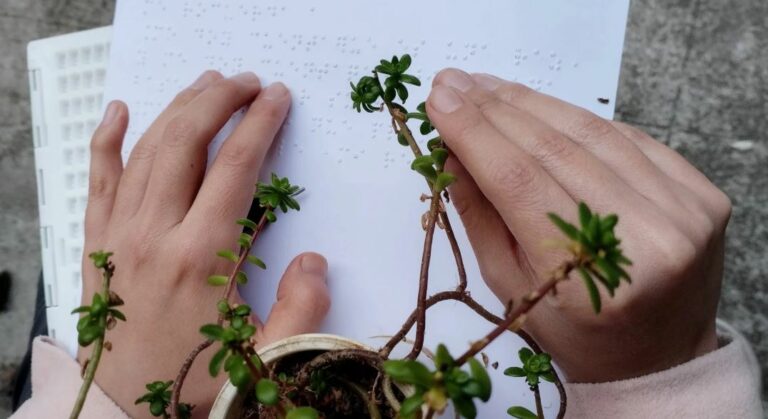 Wild Wonder Micro Grant Program 2025 (up to $1,000)