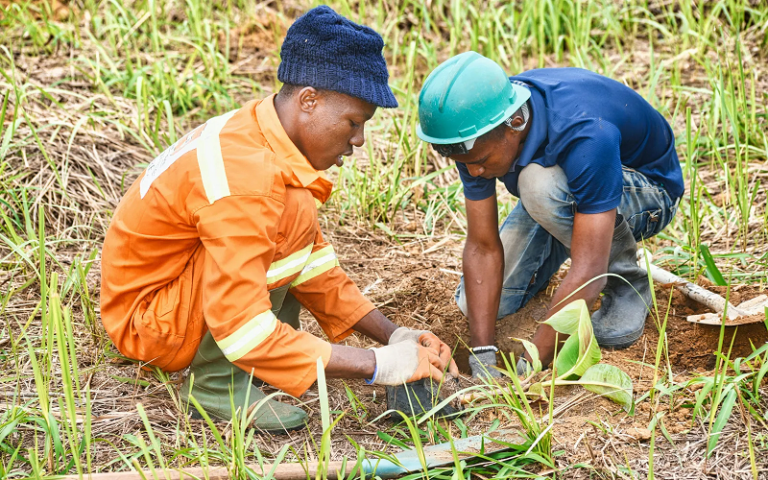 King’s Commonwealth Fellowship Programme – Climate Resilience Fellowships 2026 (Fully-funded)