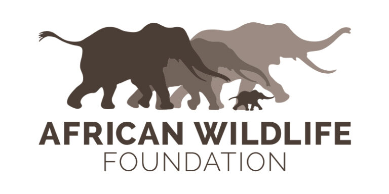 African Wildlife Foundation (AWF)-Wall Policy Fellowship 2026