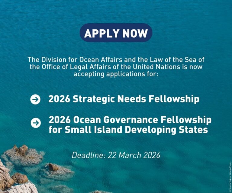 United Nations Nippon Foundation (UNNF) Strategic Needs Fellowship 2026 (Funded)