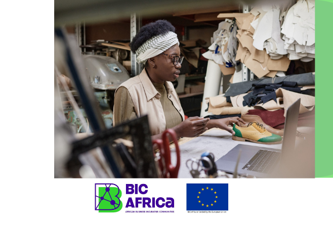 BIC Africa Online Training Programme 2026 for Women Entrepreneurs from Tanzania