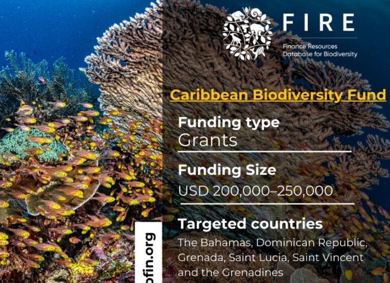 Caribbean BluEFin Call for Proposals 2026: Up to $250,000 Grants Open ...