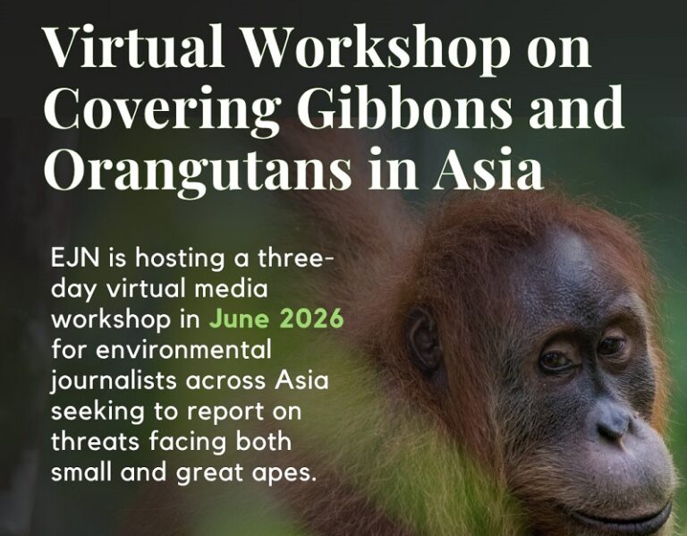 EJN Virtual Media Workshop on Covering Gibbons & Orangutans in Asia 2026
