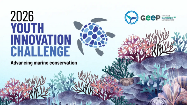 Global Youth Innovation Challenge 2026 ($1,000 prize) – Opportunity Desk