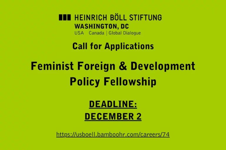 Heinrich Böll Foundation Washington DC Global Majority AI Fellowship 2026