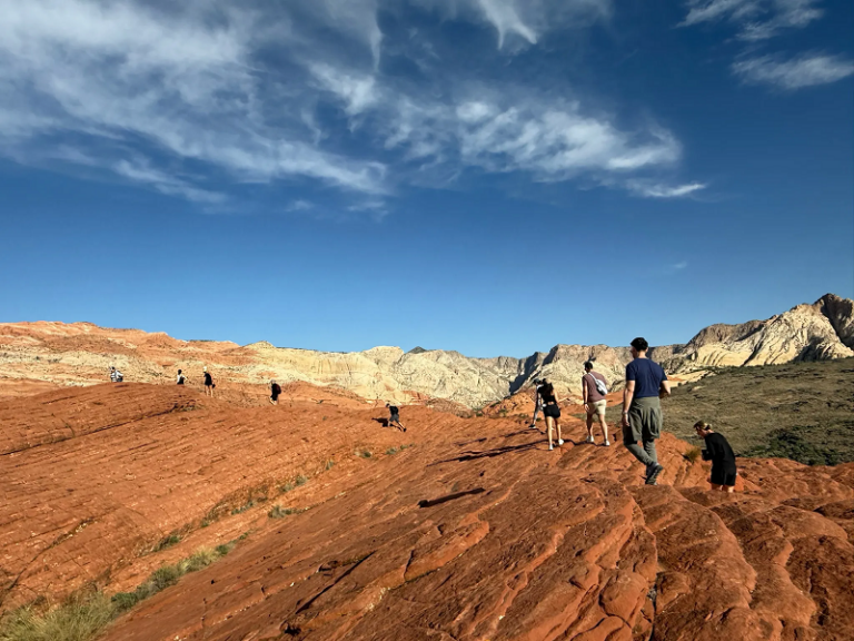 360 Venture Collective Fellows Program 2026