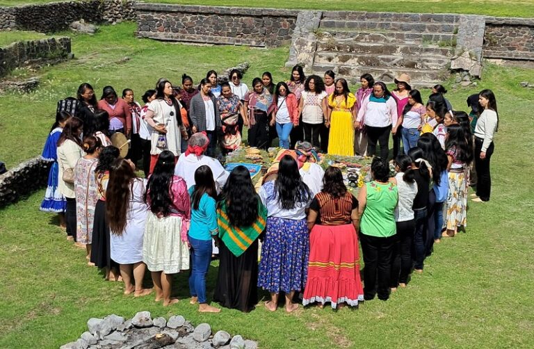 Indigenous Women’s Program Fellowship 2027 – Cohort V