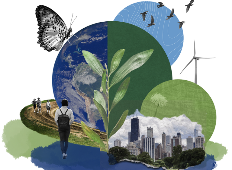 Demographics & Planetary Health Story Prize 2026