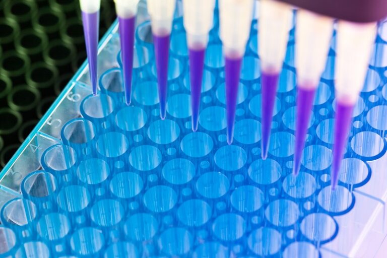 Rare Disease Reporting Fellowship and Grants 2026 (up to $2,000)