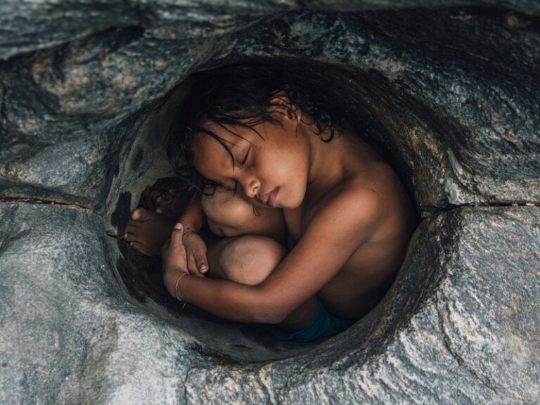 Vital Impacts Environmental Photography Fellowships and Mentorships 2027